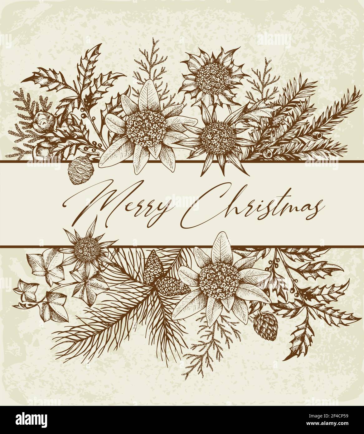 Vintage Weihnachten Grußkarten mit immergrünen Pflanzen und Blumen. Dekorativer Hintergrund für Weihnachten und das neue Jahr. Hand Vector Illustration gezeichnet. Stock Vektor