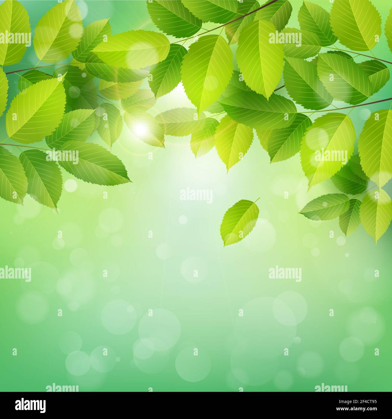 Frühling Natur Banner mit grünen Blättern. Elm Zweig auf einem grünen Hintergrund. Vektorgrafik. Stock Vektor