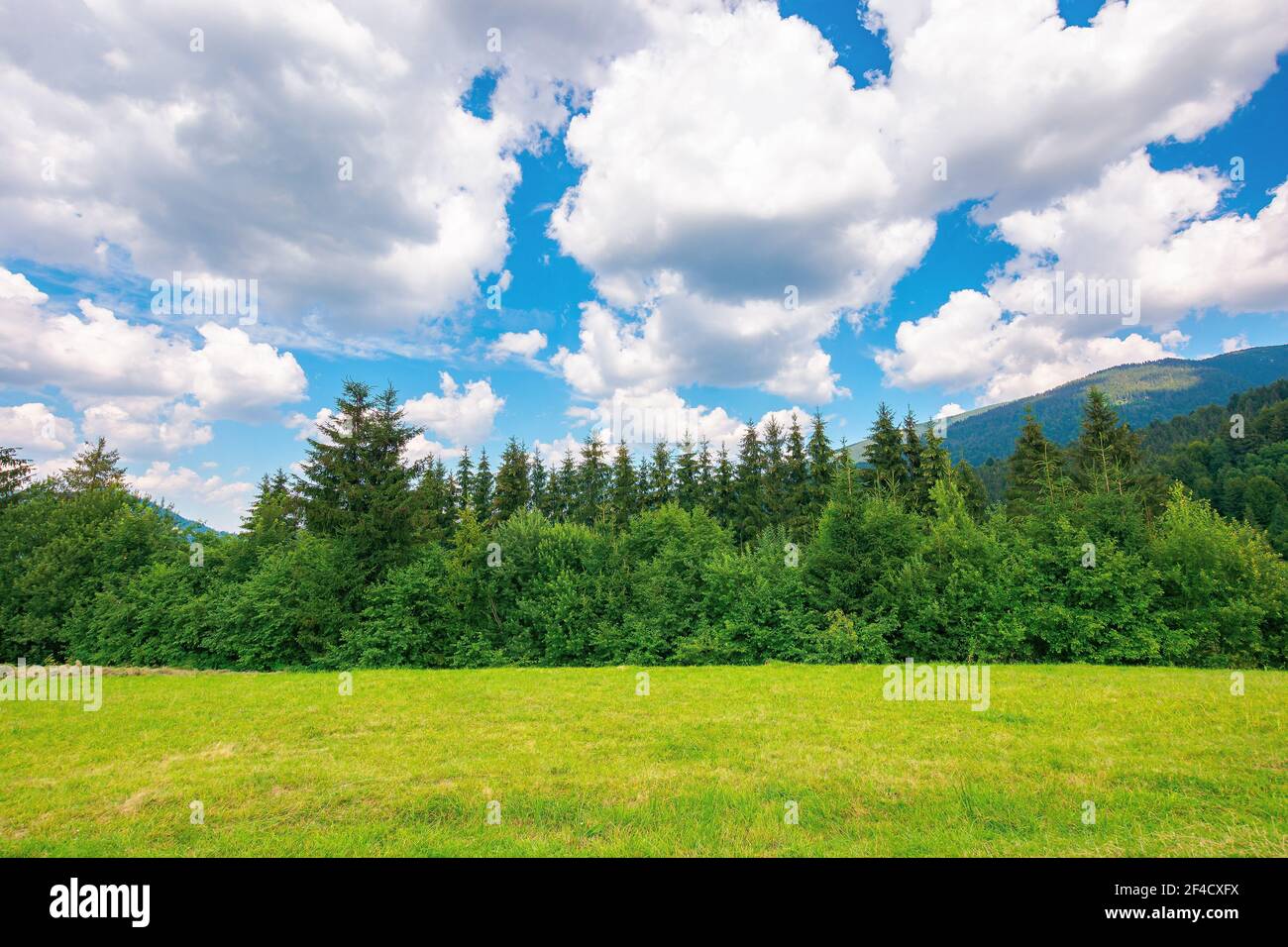 Gebirgige ländliche Landschaft im Sommer. Bäume auf der Bergwiese. Wolken am blauen Himmel über dem fernen Kamm. Abenteuer auf dem Land auf einem Stockfoto