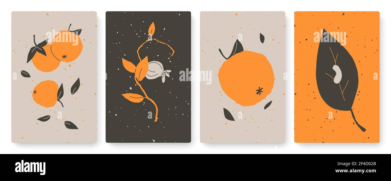 Abstrakt trendy minimal Natur-Objekte gesetzt, Vorlage Hintergrund für Social-Media-Geschichten Stock Vektor