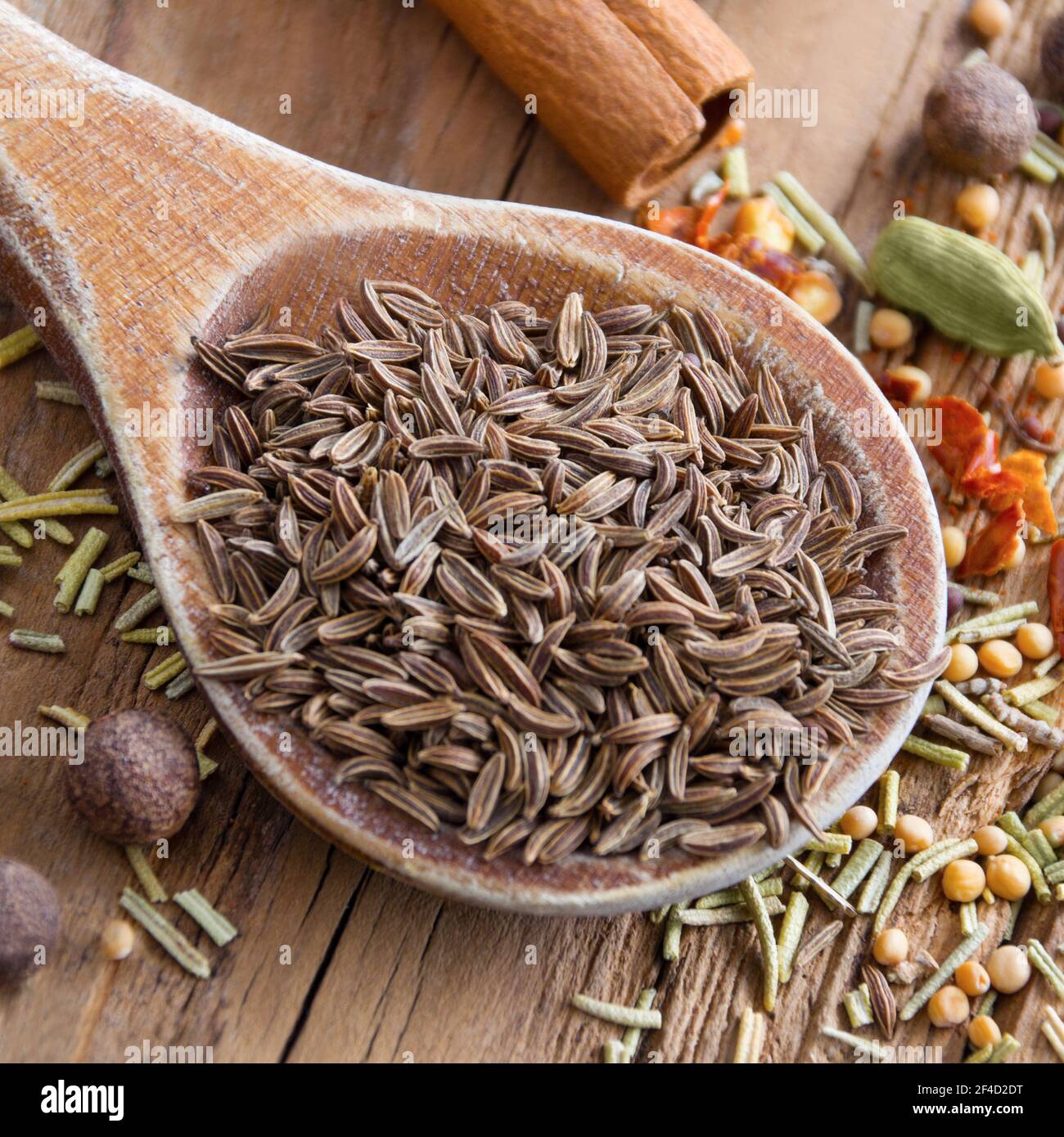 Kümmel und Holzlöffel aus der Nähe Stockfoto