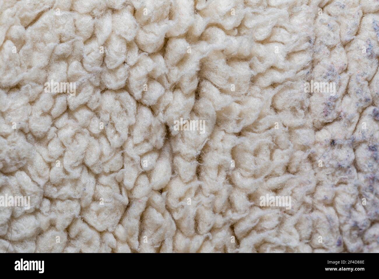 Weißer Pelz Nahaufnahme Hintergrund Stockfoto