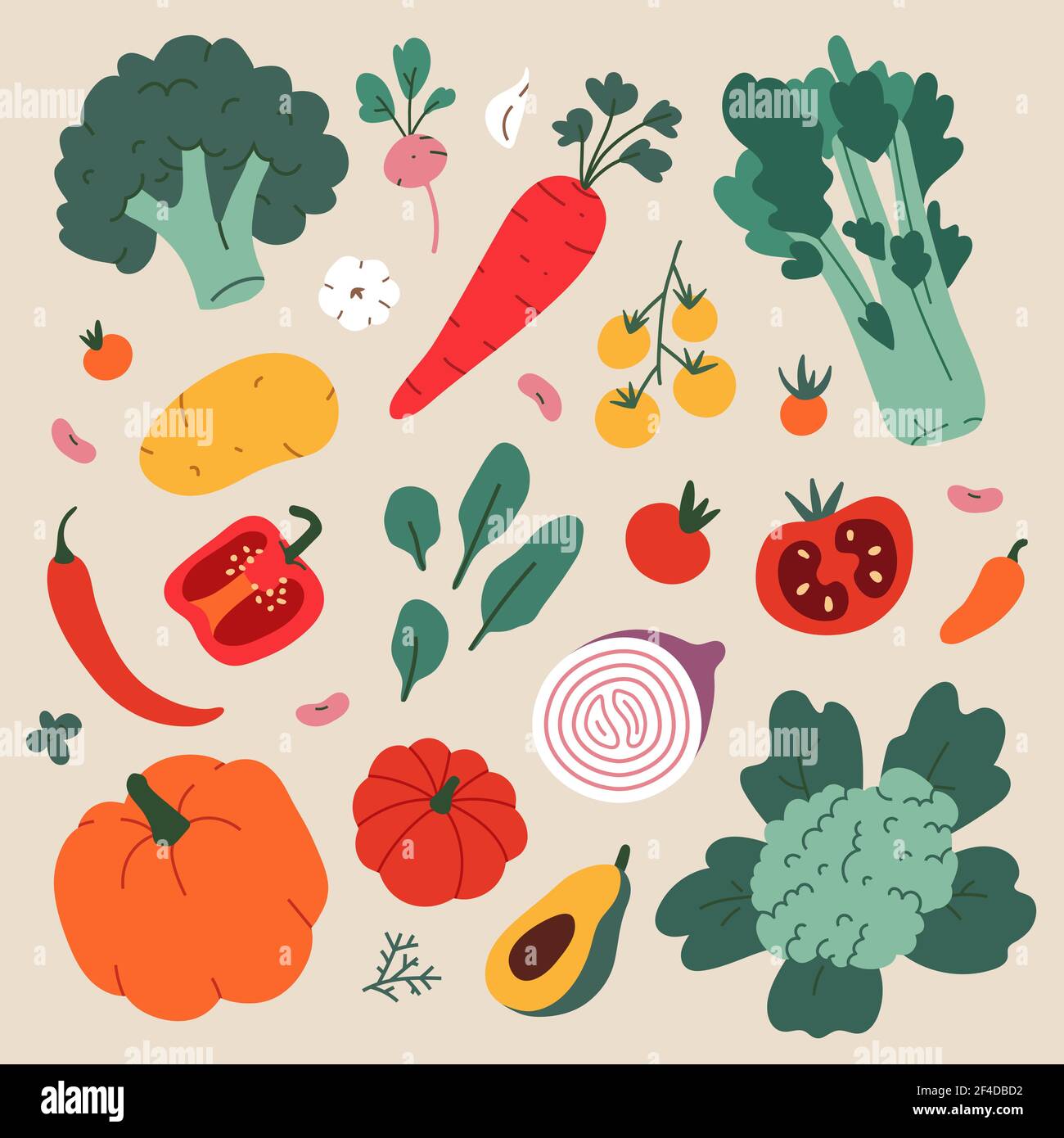 Pflanzliche Lebensmittel Illustration, moderne Zeichnung von Brokkoli, Blumenkohl und Sellerie, gesunde Ernährung Kochen Zutaten, Vektor-Cliparts Stock Vektor