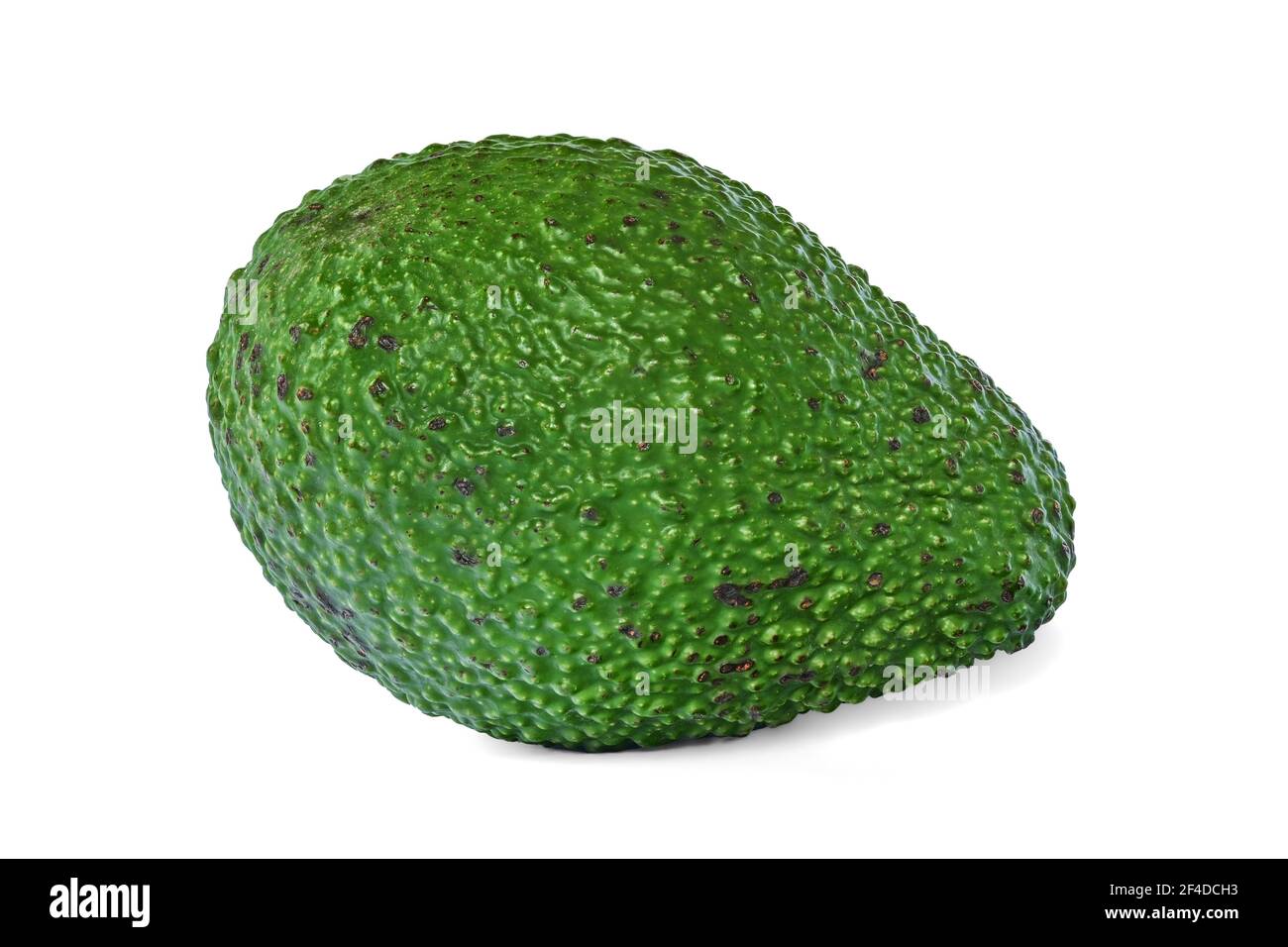 Einzelne grüne Avocado isoliert auf weißem Hintergrund. Nahaufnahme von rohen Vollfrüchten. Stockfoto
