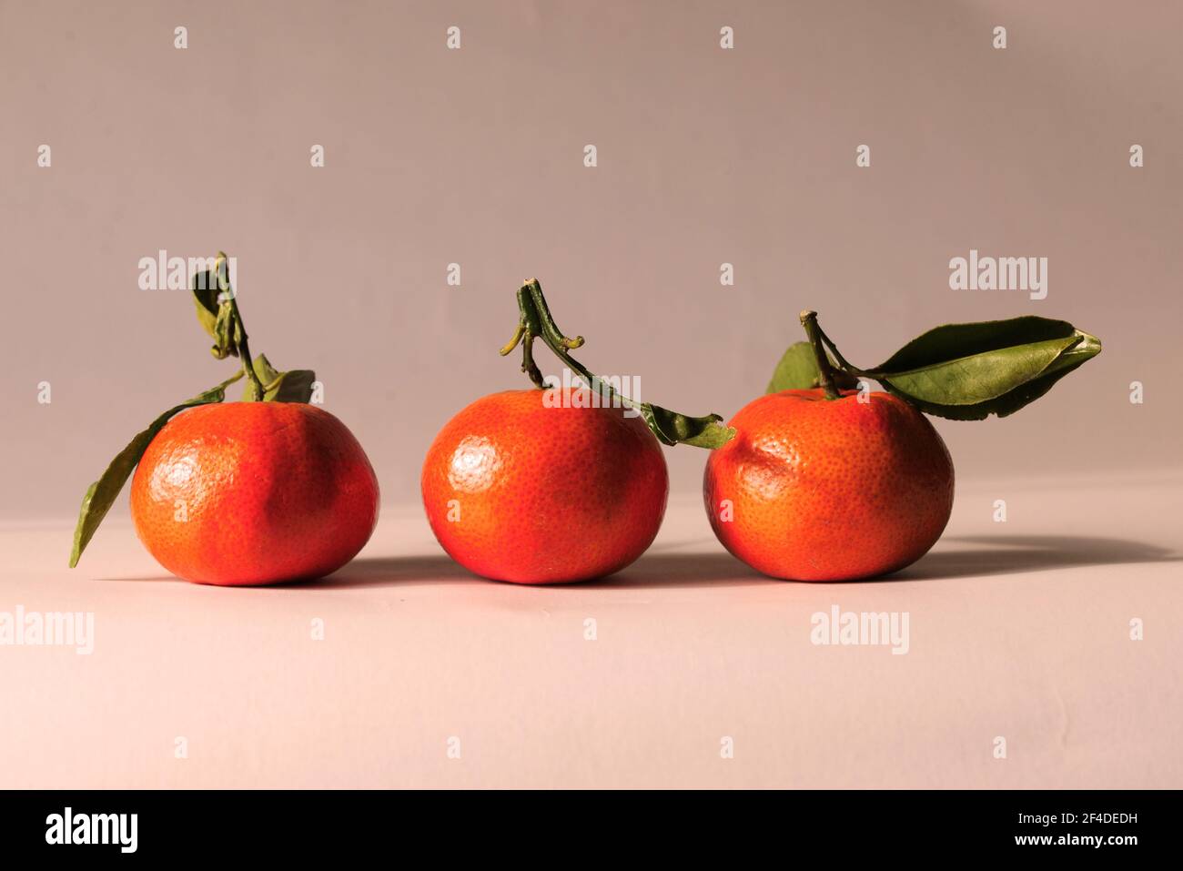 Drei Mandarinen in einer Reihe auf einem Tisch Stockfoto