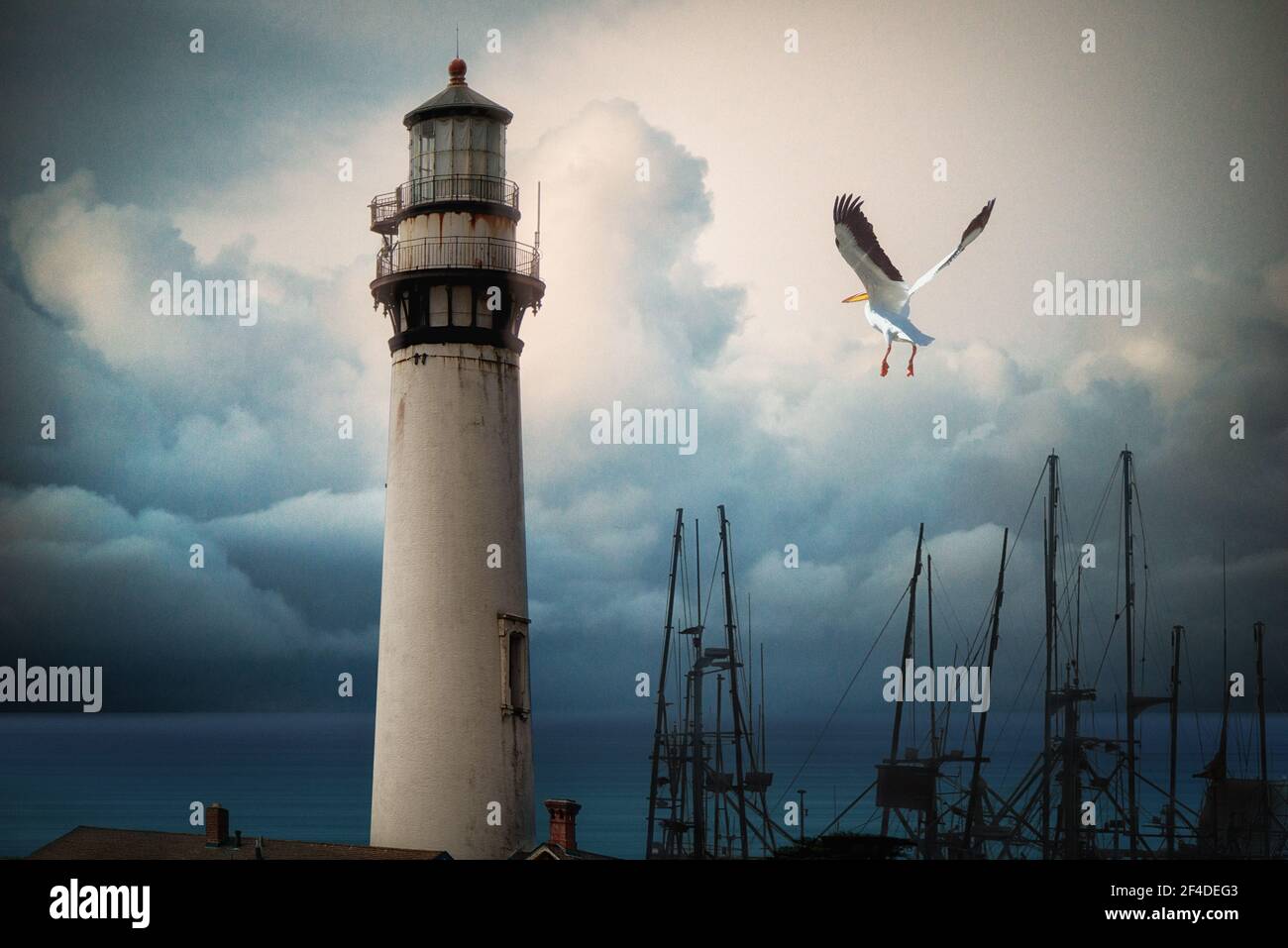 Möwe fliegt über Boote, die an einem alten Leuchtturm, USA, festgemacht sind Stockfoto