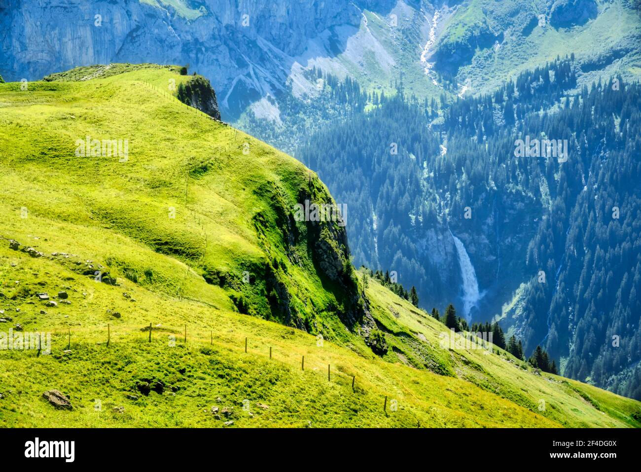 Üppig grüne Berglandschaft, Klausen, Schweiz Stockfoto