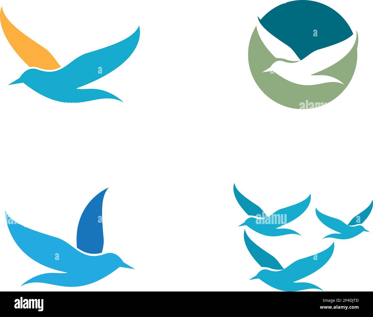 Seagull Logo Vorlage Vektor Symbol Illustration Design Stock Vektor