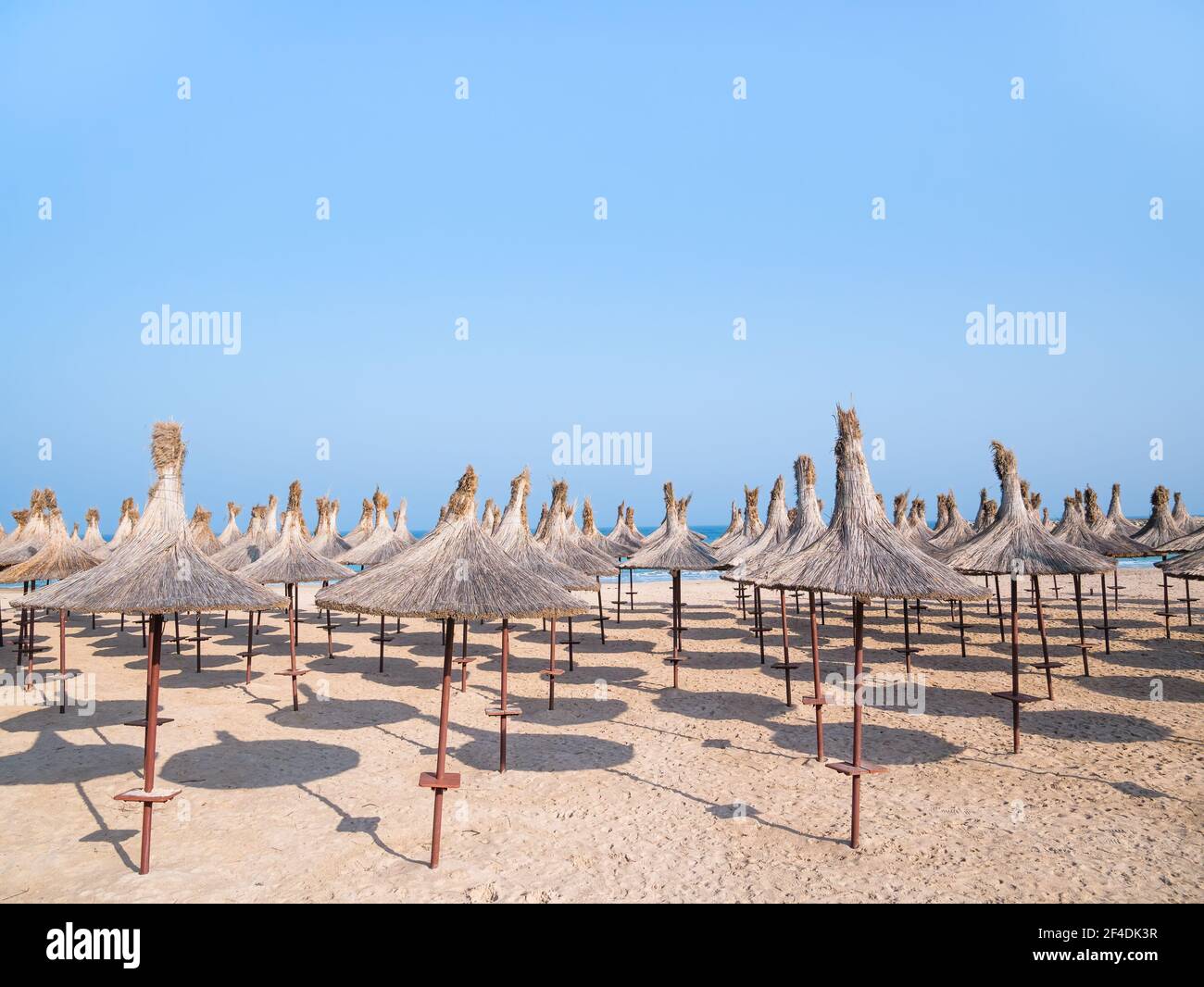 Sommerlandschaft mit Strohschirmen am Strand in Mangalia oder Mamaia. Strand am Schwarzen Meer in Rumänien. Stockfoto