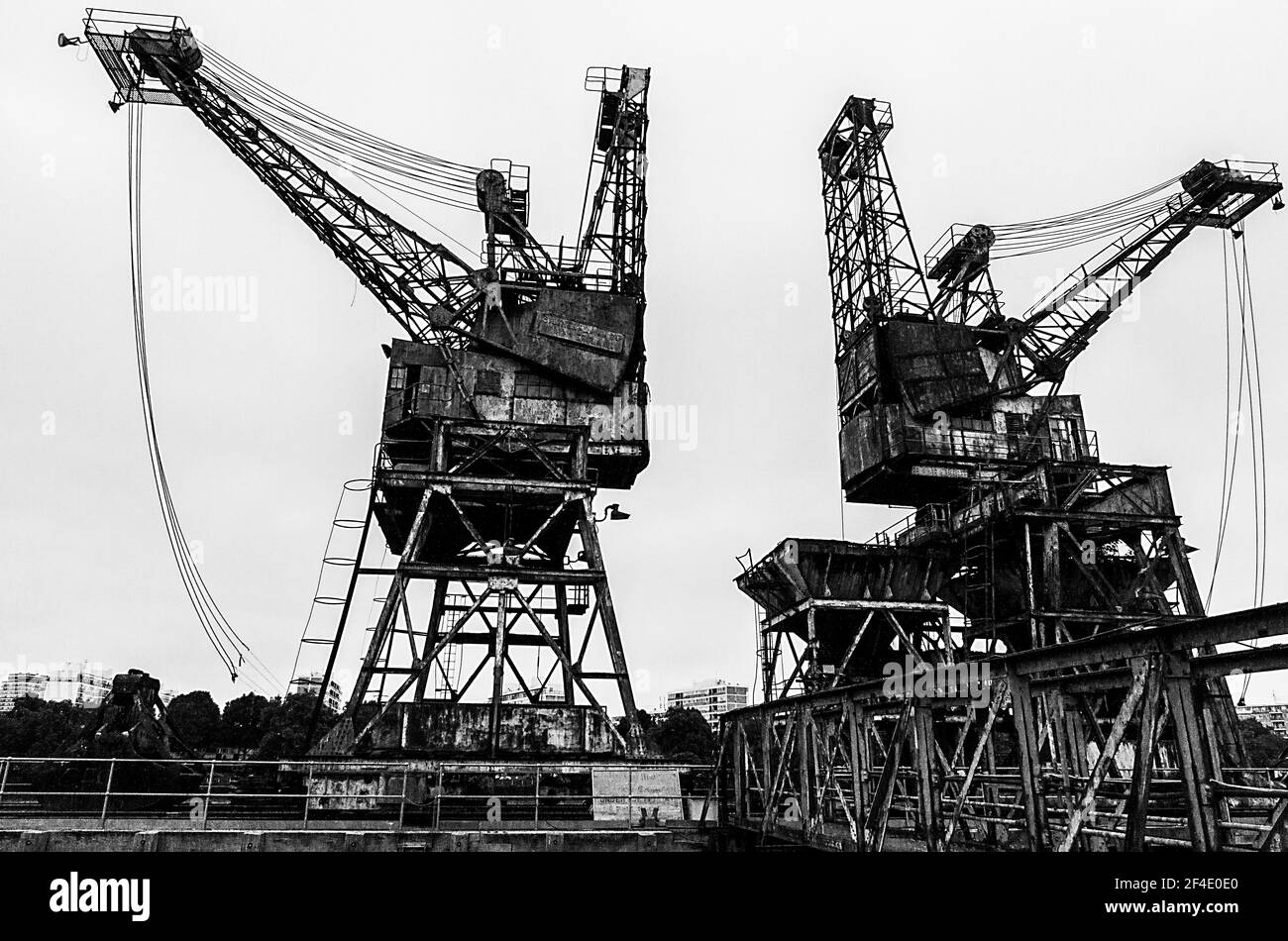 Zwei Alte Kraniche An Der Themse Im Battersea Power Station Stockfoto