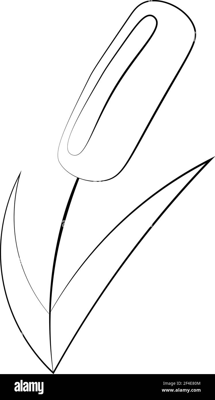 Für Textilien von Kleidung und Dingen, Papierprodukte, Verpackung, Tapete, Dekor, Notebook, Innen-und Hintergrund für soziale Netzwerke, etc. Stock Vektor