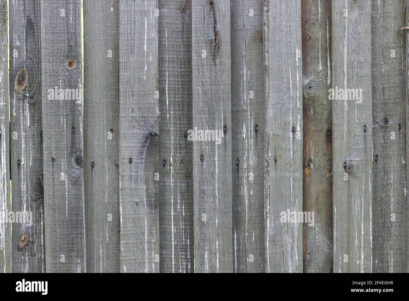 Textur einer Holzwand aus grauen Lamellen. Stockfoto