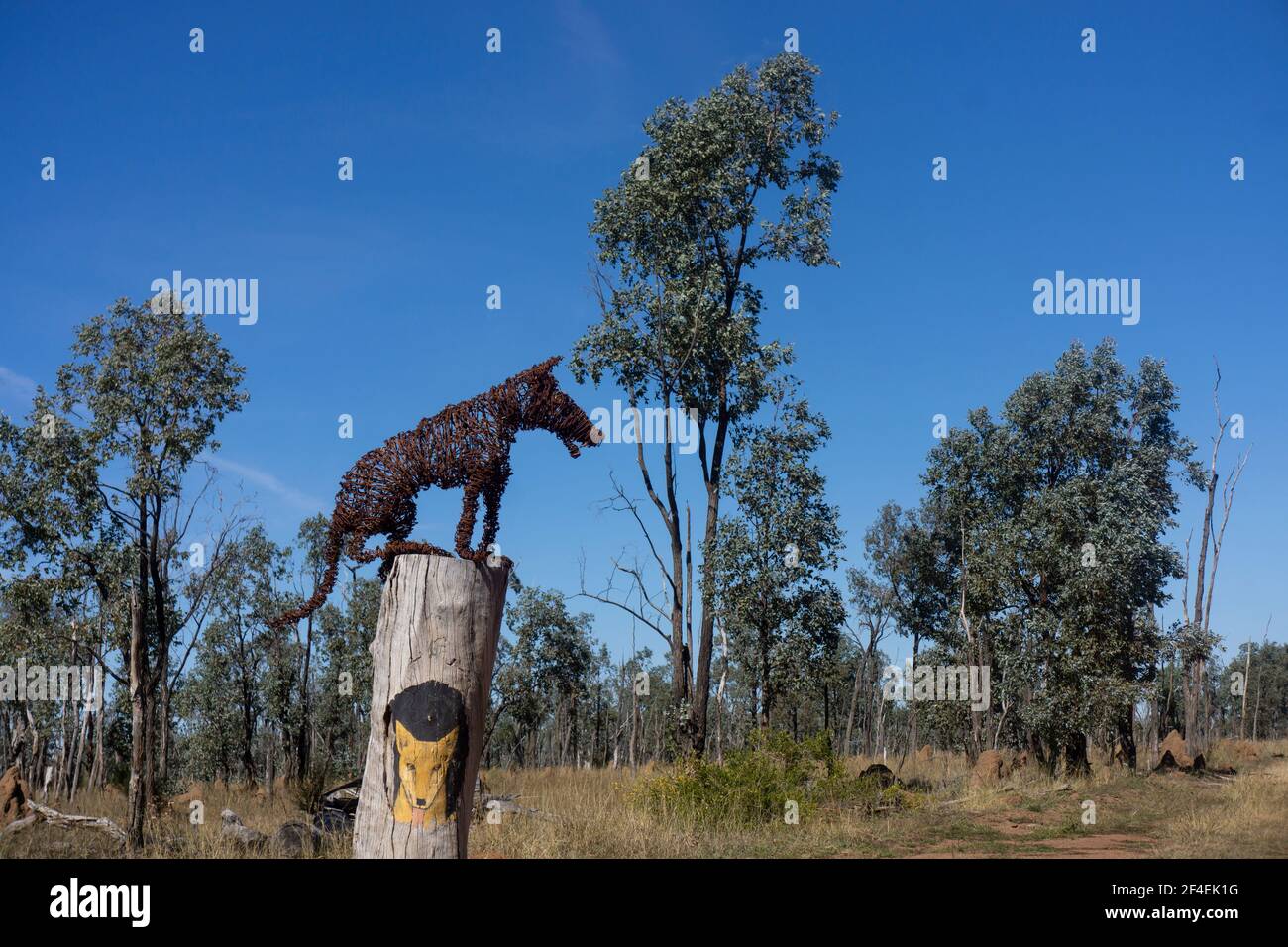 Schrott-Metallskulptur eines Dingos, eines australischen Wildhundes, auf einem Posten in der Nähe von Aramac, Outback Queensland, Australien auf dem Lake Dunn Skulpturenpfad. Stockfoto