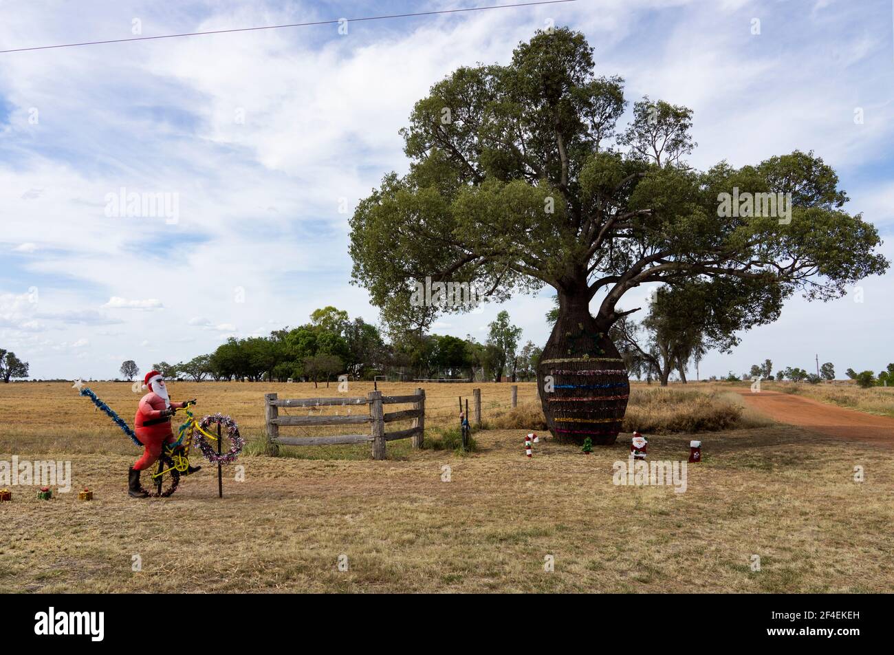 Ein großer australischer Boab oder Flaschenbaum, der von einer Familie mit Weihnachtsdekorationen im Land Queensland geschmückt wird. Stockfoto