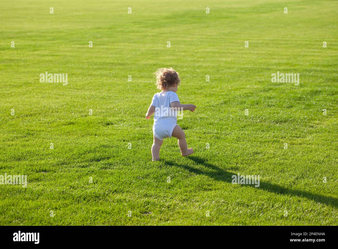 Rückansicht von Baby Wandern im Park in Windelhosen. Gesundes Kind. Stockfoto