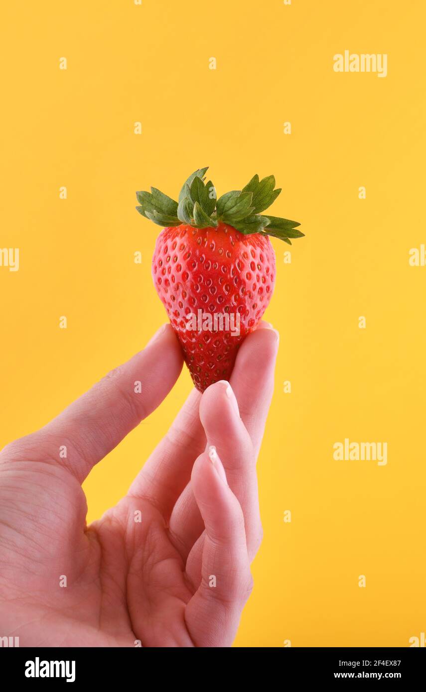 Frau Hand hält Erdbeere auf gelbem Hintergrund mit Platz für Text Stockfoto