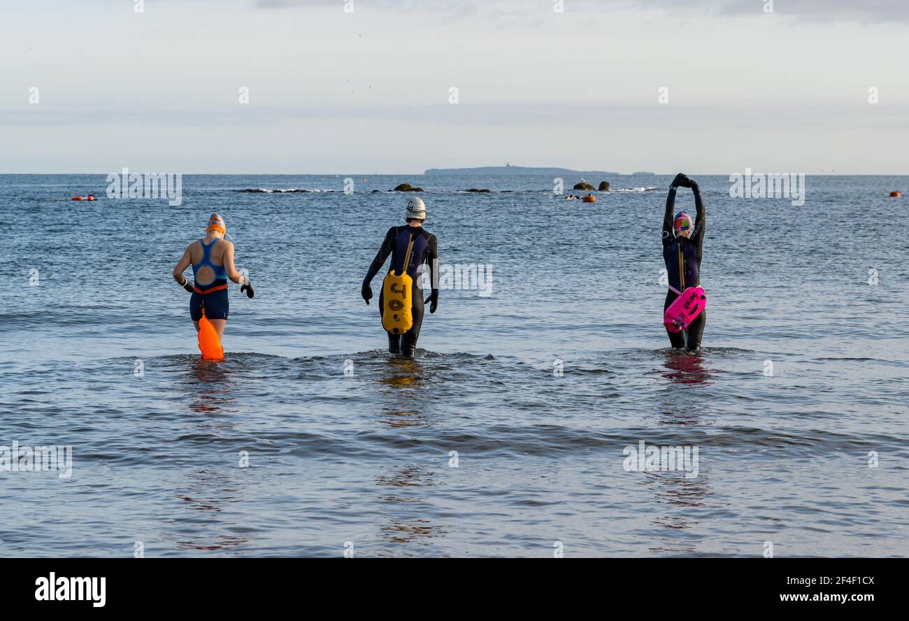 North Berwick, East Lothian, Schottland, Großbritannien, 21st. März 2021. UK Wetter: Wildschwimmer gehen im Firth of Forth im Freiwasser schwimmen. Wildbaden ist ein beliebter Sport für Einheimische in der Küstenstadt geworden. Diese Frauen sind einige der Stammgäste, die in den Sport jede Woche während des ganzen Jahres teilnehmen. Im Bild: Alison, Jo und Sarah schwimmen jede Woche, manchmal öfter in West Bay, als sie in Neoprenanzügen und Schwimmern ins Meer kommen Stockfoto