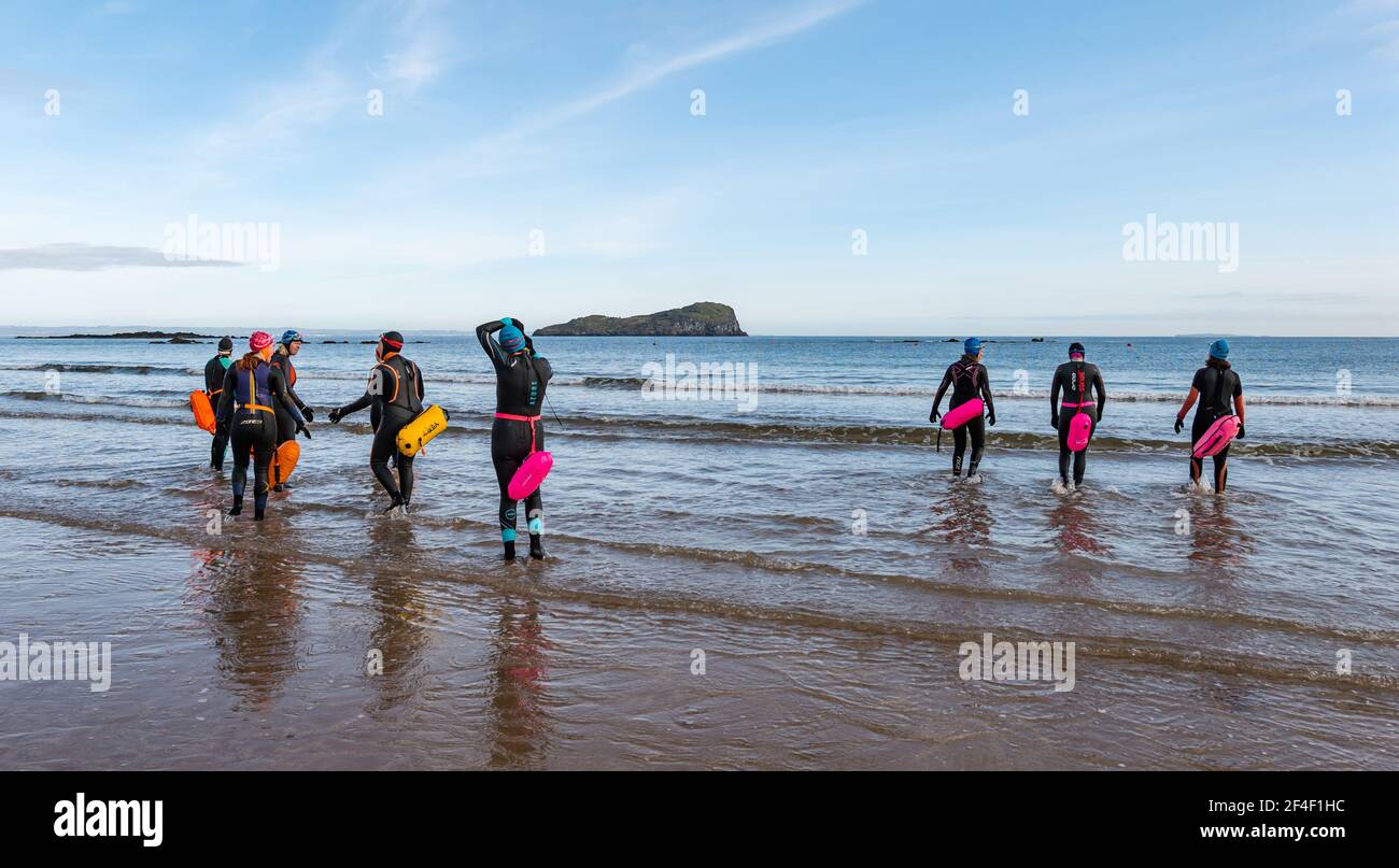 North Berwick, East Lothian, Schottland, Großbritannien, 21st. März 2021. UK Wetter: Wildschwimmer gehen im Firth of Forth im Freiwasser schwimmen. Wildbaden ist ein beliebter Sport für Einheimische in der Küstenstadt geworden. Diese Frauen tragen Neoprenanzüge und schwimmt gehen ins Wasser sind einige der Stammgäste, die in der Sport jede Woche während des ganzen Jahres in West Bay teilnehmen Stockfoto