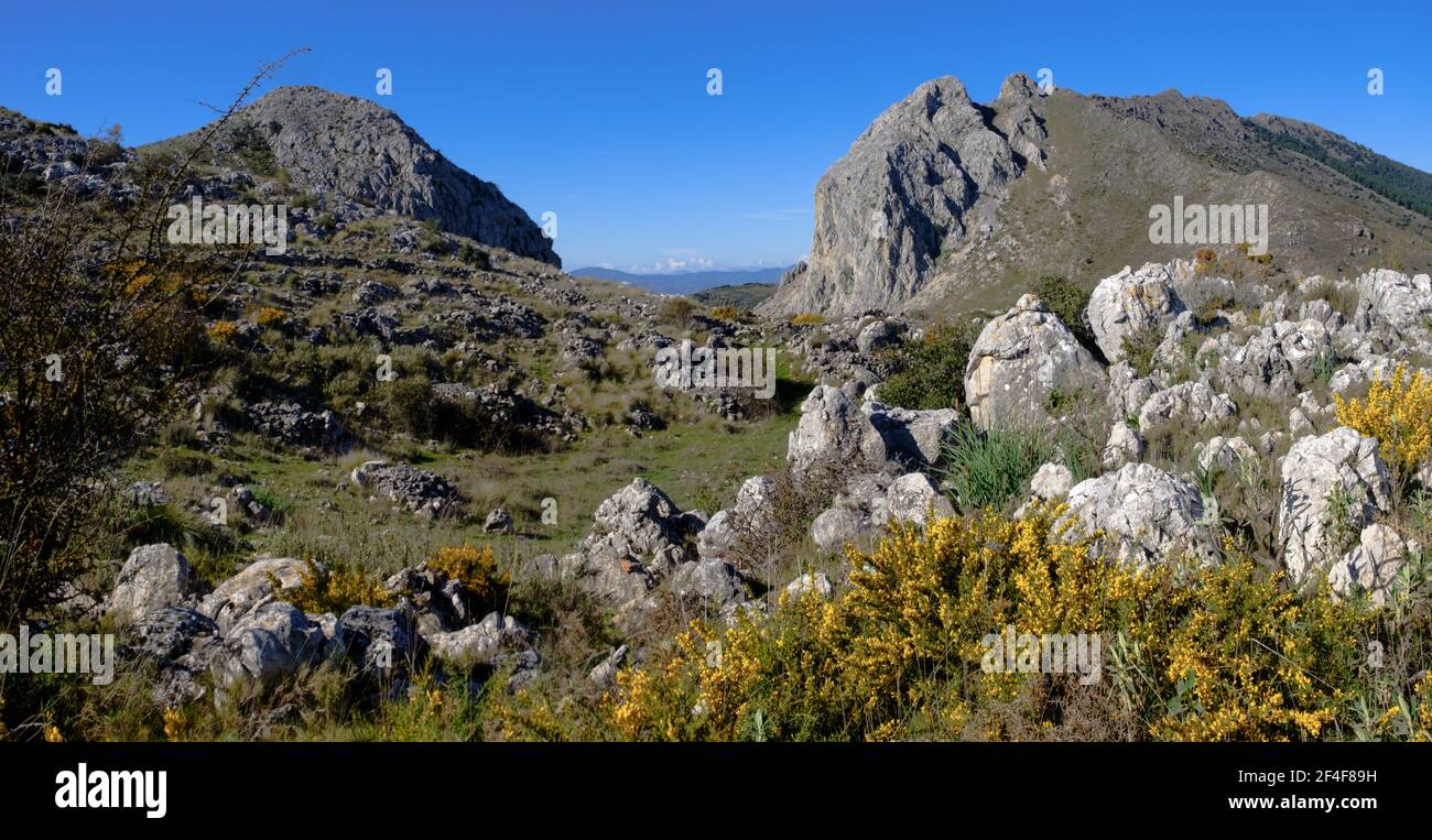 Wandern auf dem La Cuna-Weg oberhalb des Zafarraya-Passes, Andalucía, Spanien, Europa Stockfoto