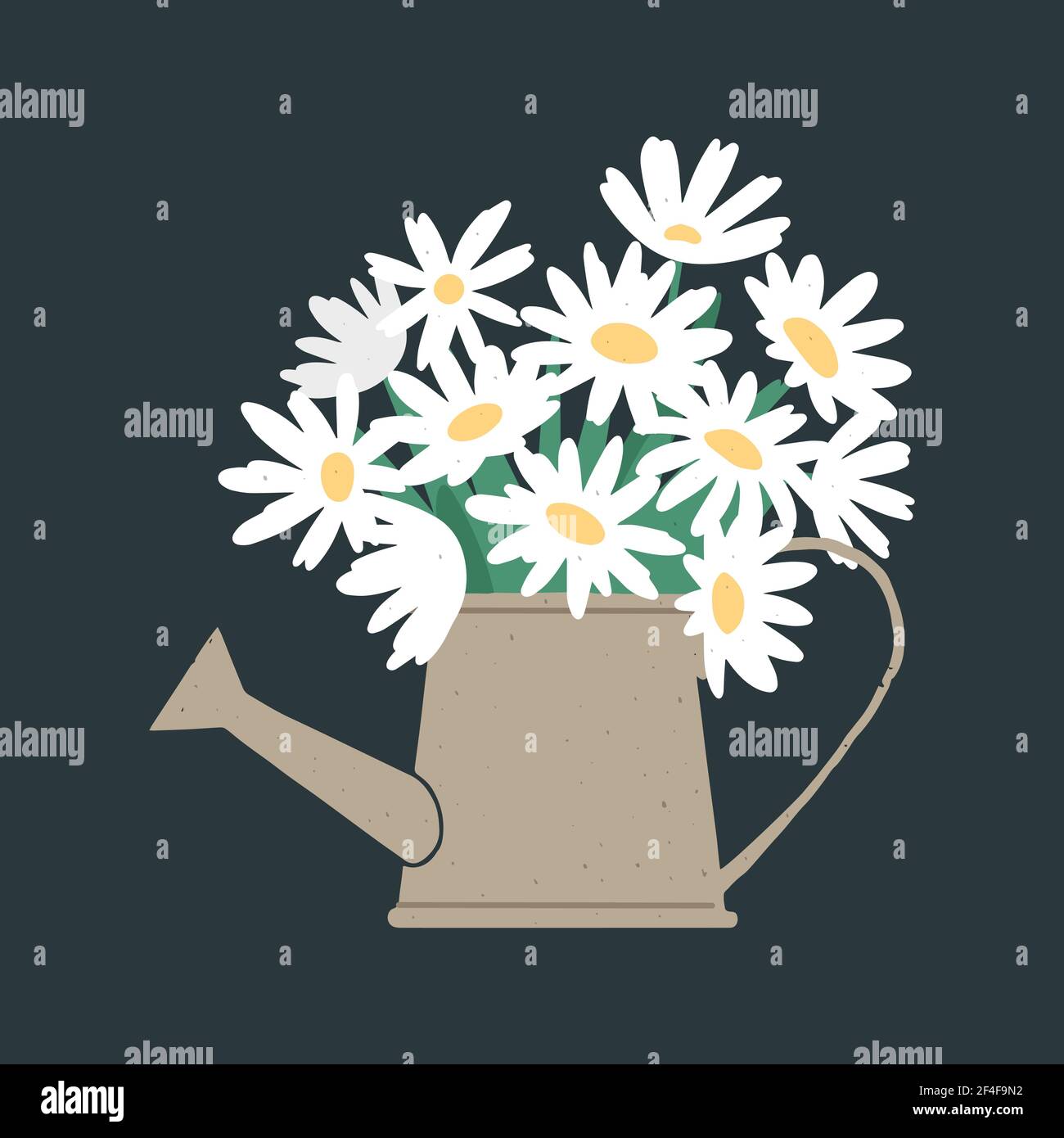 Vektor-Illustration von Bund von frischen Kamillenblüten in der Bewässerung Can auf dunklem Hintergrund Stock Vektor