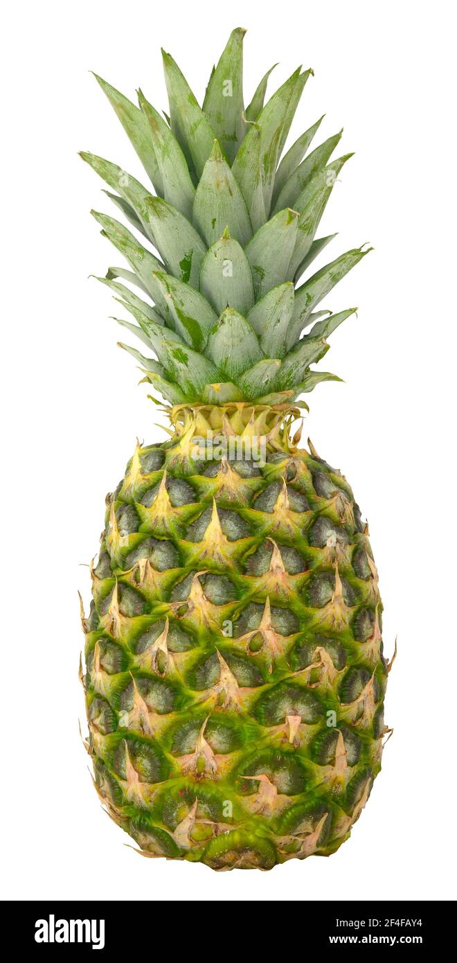 Isolierte frische Bio-Ananas auf WEISSEM Hintergrund Stockfoto
