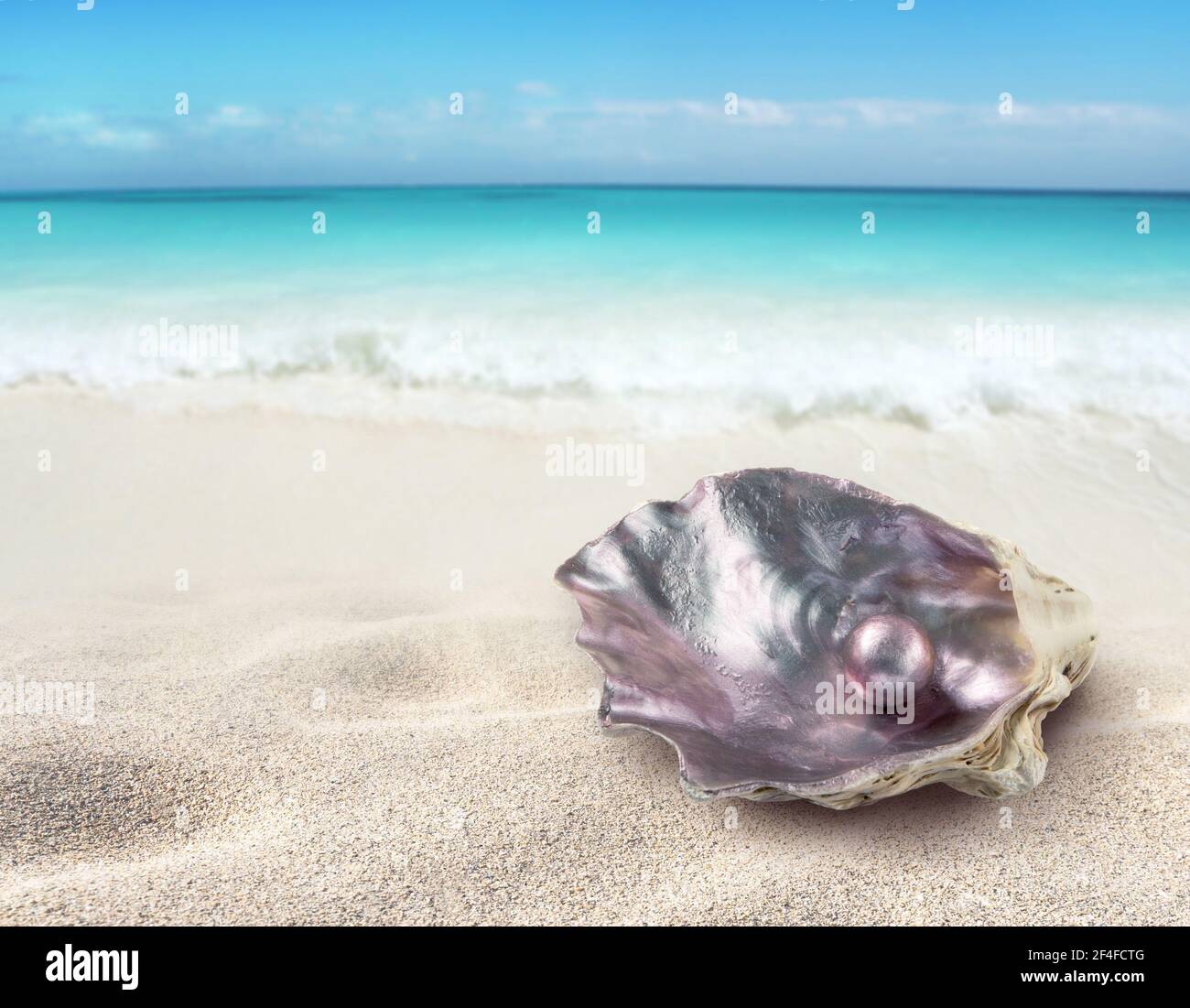 Glänzende Perle in der lila schillernden Austernschale auf dem Tropischer Paradiesstrand Stockfoto