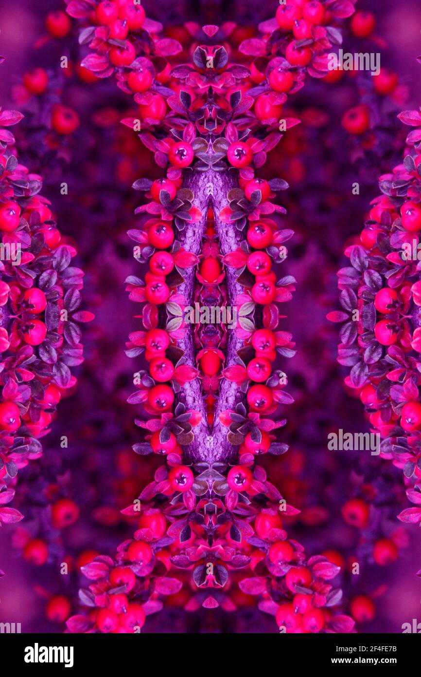 Neon Lichter Abstrakte Kunst Design Cover Buch Calandar Cd Goamusic Tapete Textur Mystischen Hintergrund Sifi Science Fiction Abstrakte Kunstwerk Wild Beeren Stockfotografie Alamy