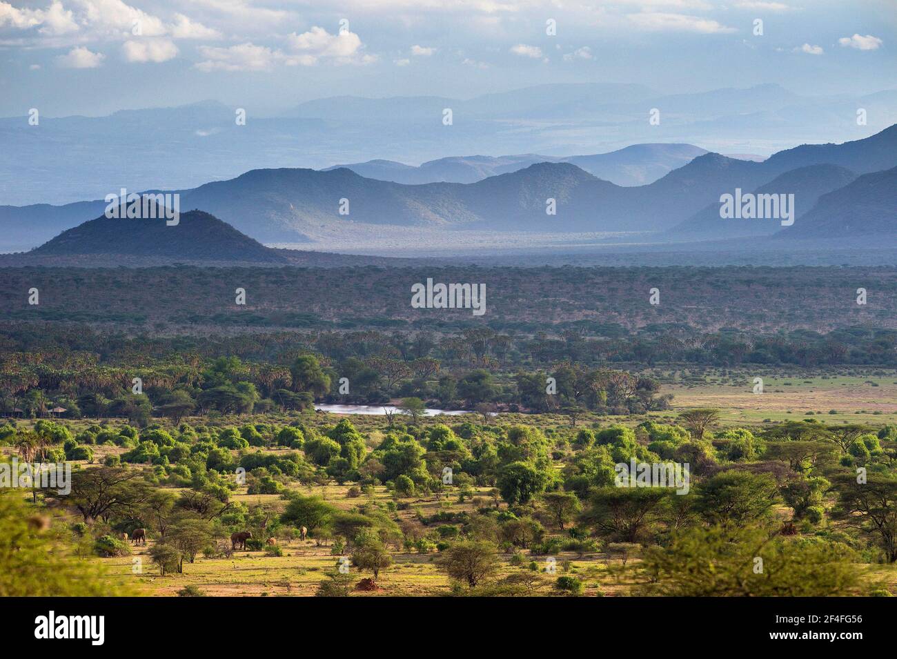 Samburu National Reserve, während der Regenzeit, Kenia Stockfoto