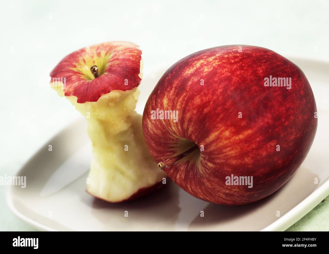 Malus domestica, kultivierter Apfel (Malus domestica), Apfel, Äpfel, Rosaceae, Royal Gala Apple, malus domestica und Kern in einer Plate, kultivierter Apfel Stockfoto