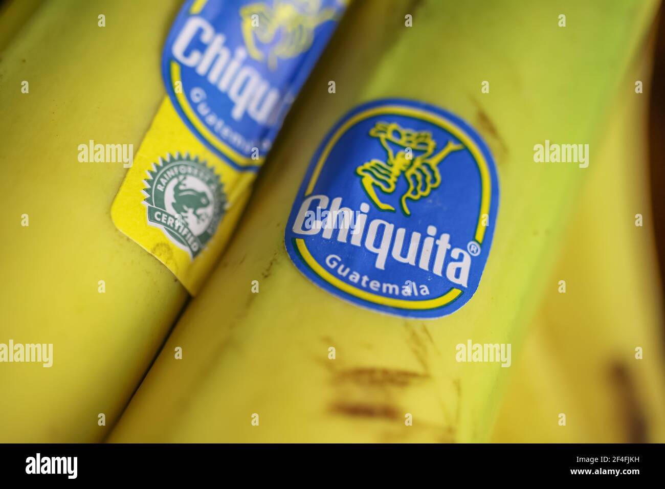 Viersen, Deutschland - März 1. 2021: Nahaufnahme des Labels mit Logo-Schriftzug der firma chiquita auf Bananen Stockfoto