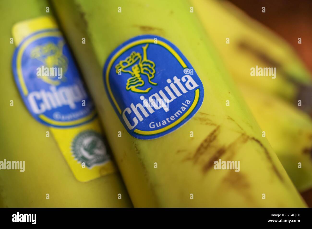 Viersen, Deutschland - März 1. 2021: Nahaufnahme des Labels mit Logo-Schriftzug der firma chiquita auf Bananen Stockfoto
