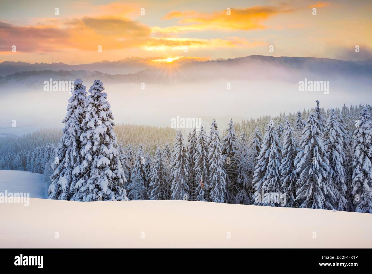 Blick vom Ratenpass auf die Schwyzer und Glarner Alpen, Schweiz Stockfoto
