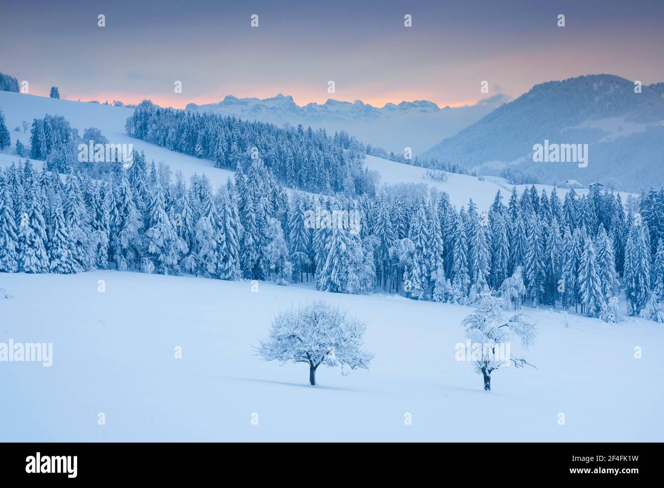 Blick vom Ratenpass auf die Zentralschweizerischen Alpen, Schweiz Stockfoto