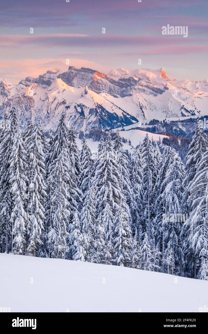 Blick von Gotschalkenberg mit Blick auf Glaernisch in den Schwyzer Alpen, Schweiz Stockfoto