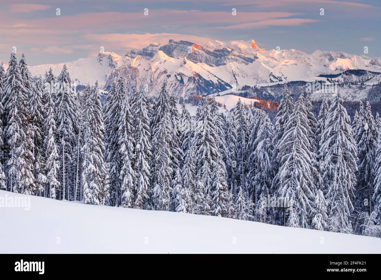 Blick von Gotschalkenberg mit Blick auf Glaernisch in den Schwyzer Alpen, Schweiz Stockfoto