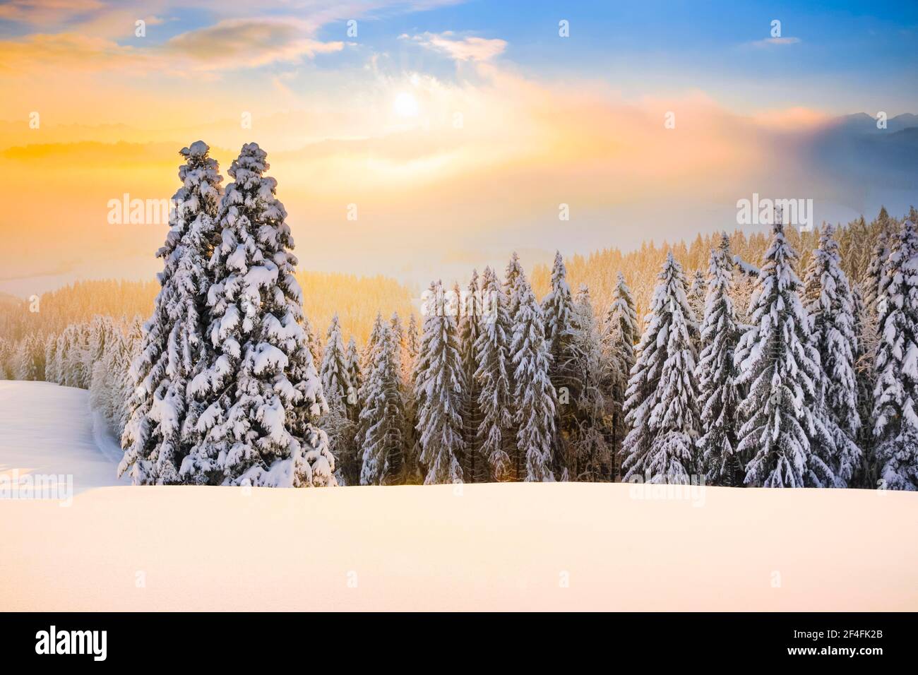 Blick vom Ratenpass auf die Schwyzer und Glarner Alpen, Schweiz Stockfoto
