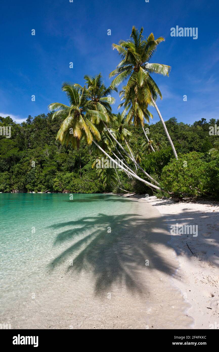 Tropische Insel in der Straße von (Iris), Triton Bay, West Papua, Indonesien Stockfoto