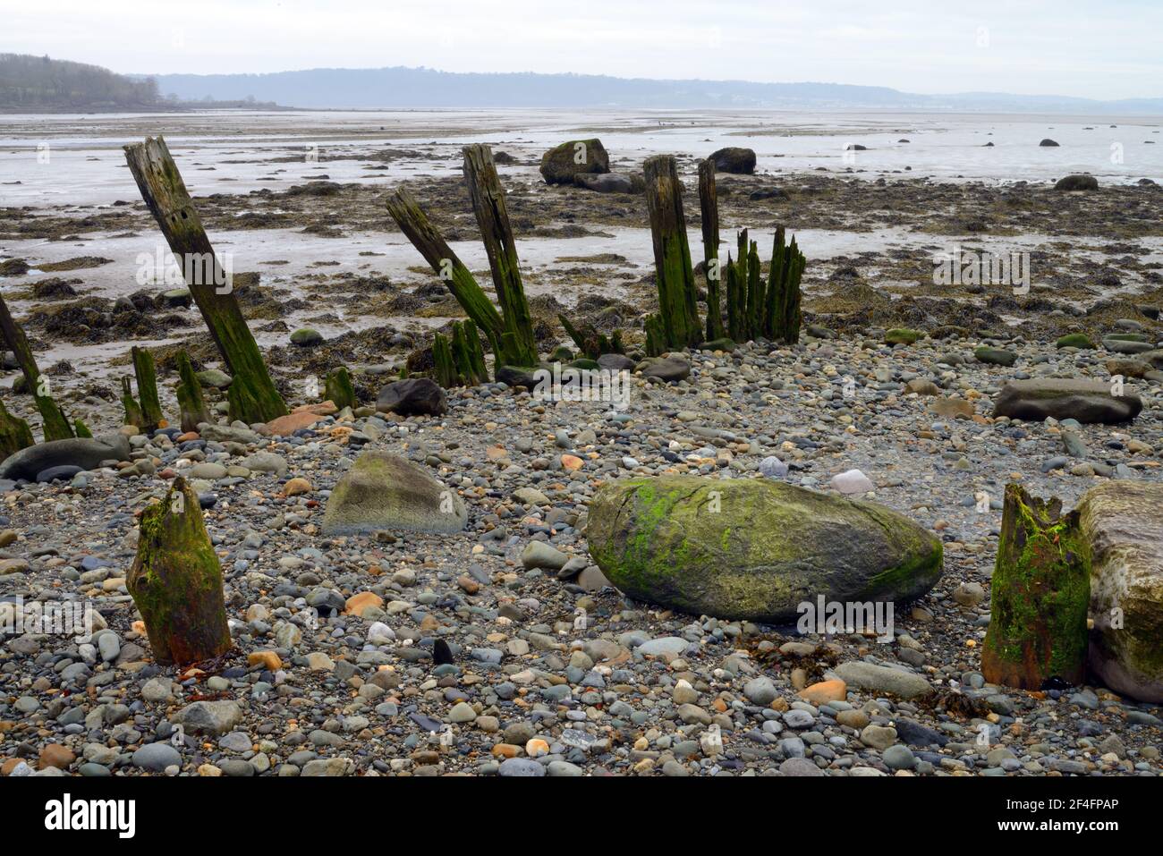 Alte Anlegestelle bleibt auf Traeth Lafan (Lavan Sands) in der Menai Straits, Nordwales. Das Gebiet ist jetzt ein besonderes Schutzgebiet für Vögel. Stockfoto