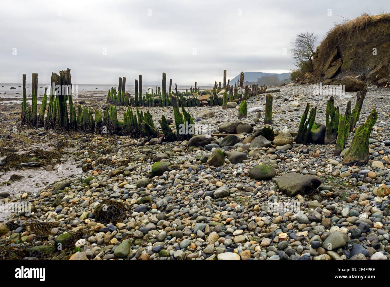 Alte Anlegestelle bleibt auf Traeth Lafan (Lavan Sands) in der Menai Straits, Nordwales. Das Gebiet ist jetzt ein besonderes Schutzgebiet für Vögel. Stockfoto