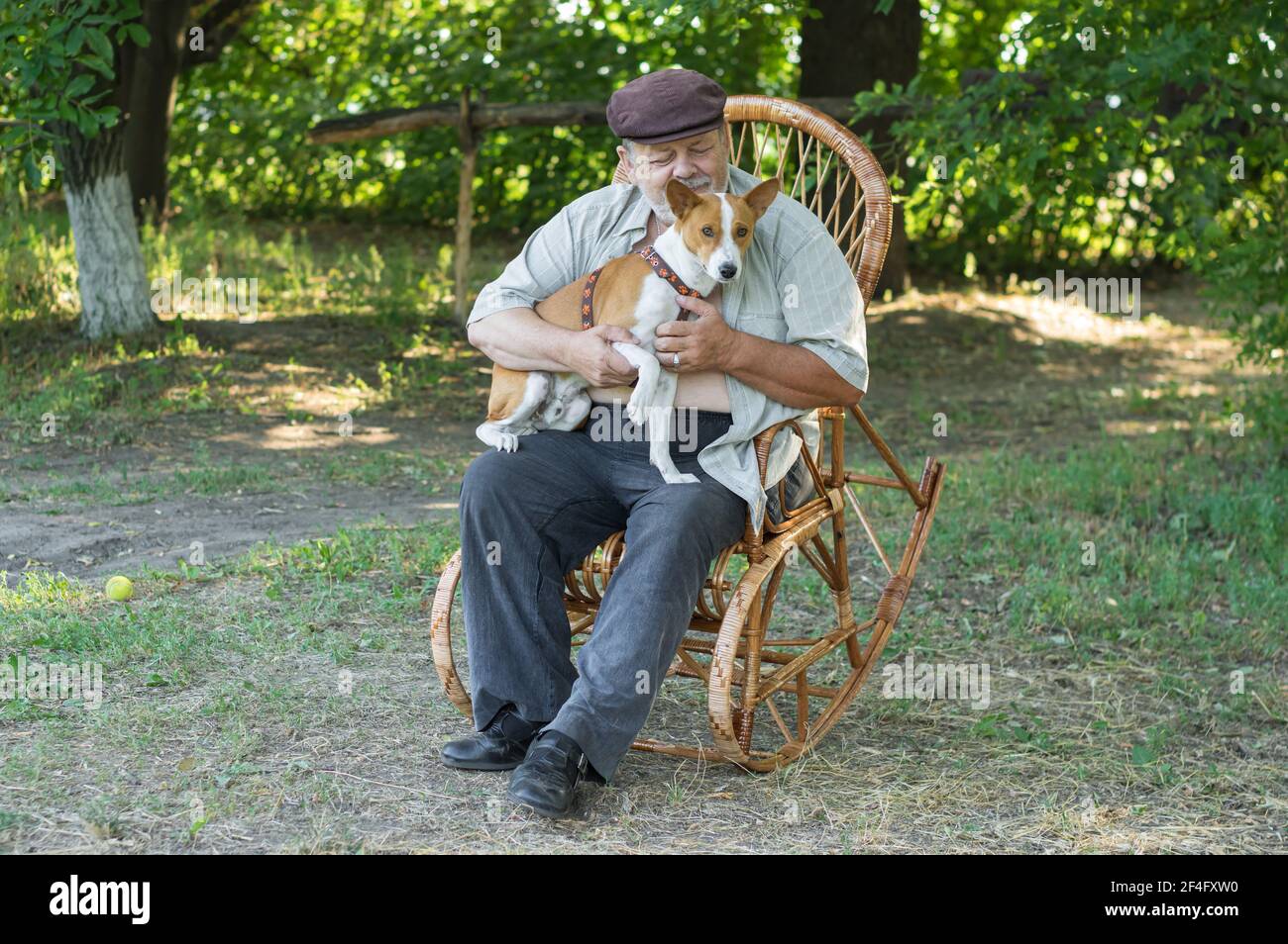 Junger basenji Hund sitzt auf älteren Meister Hände das ist Sitzen in einem Wicker Schaukelstuhl im Sommer Park Stockfoto