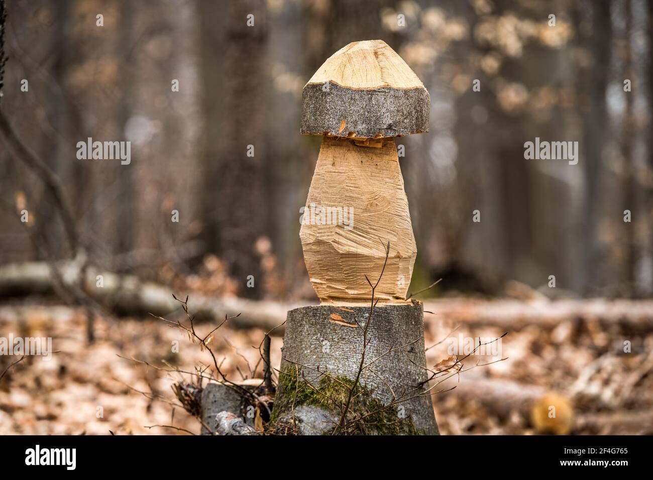 Holzschnitzerei im Wald in Form eines Pilz Stockfoto