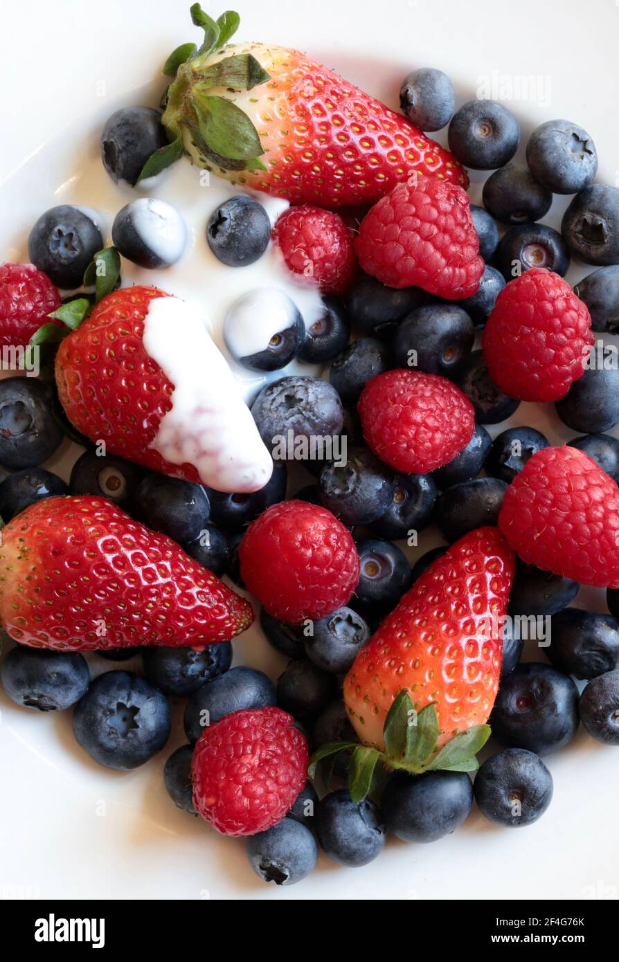 Frisches Obst. Frische Himbeeren, Heidelbeeren und Erdbeeren auf einem weißen Teller. Direkt darüber. Stockfoto