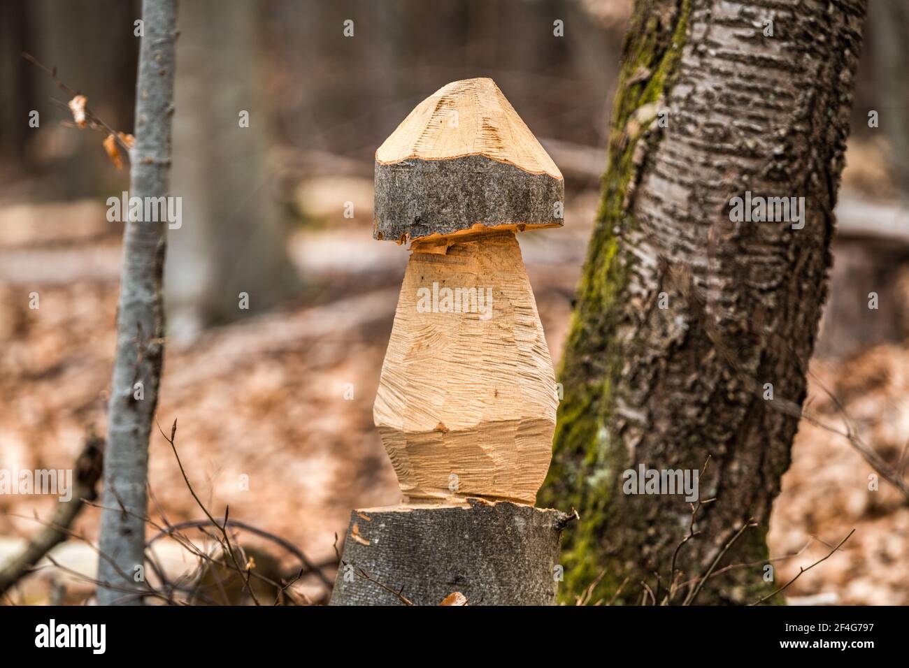 Holzschnitzerei im Wald in Form eines Pilz Stockfoto