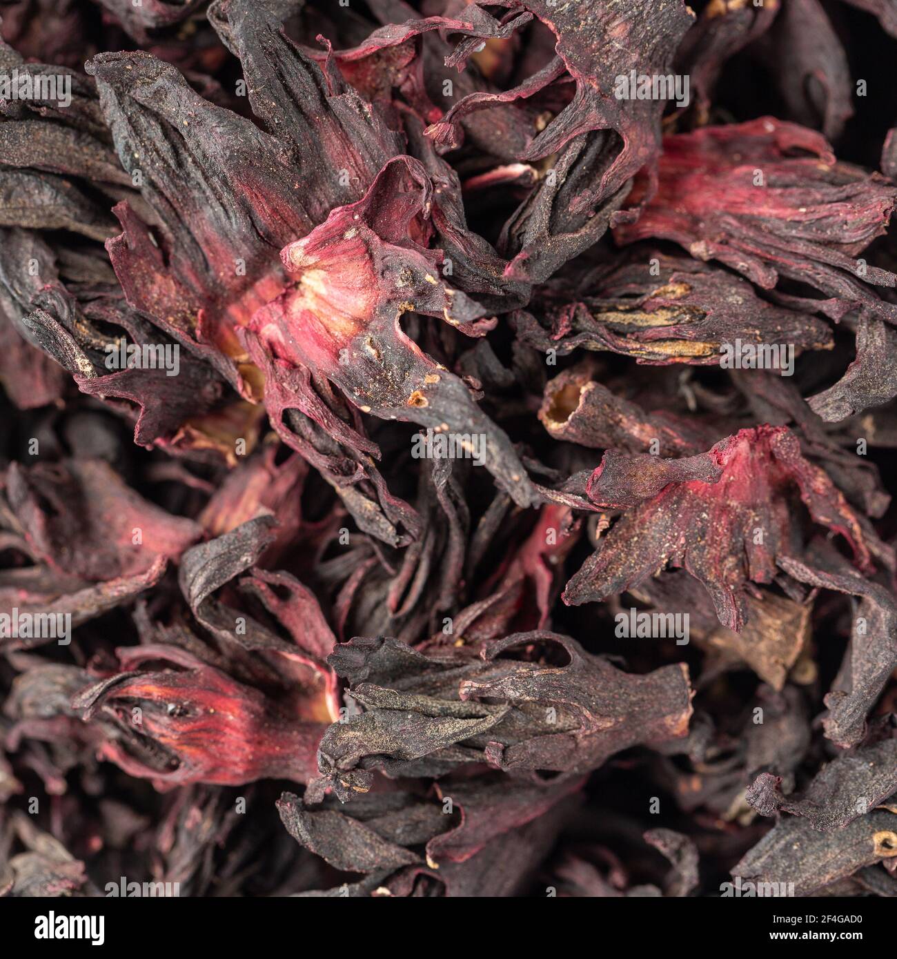 Dunkelviolett getrocknete Hibiskusblüten (Zobo oder Sauerampfer) aus Nigeria, Westafrika Stockfoto