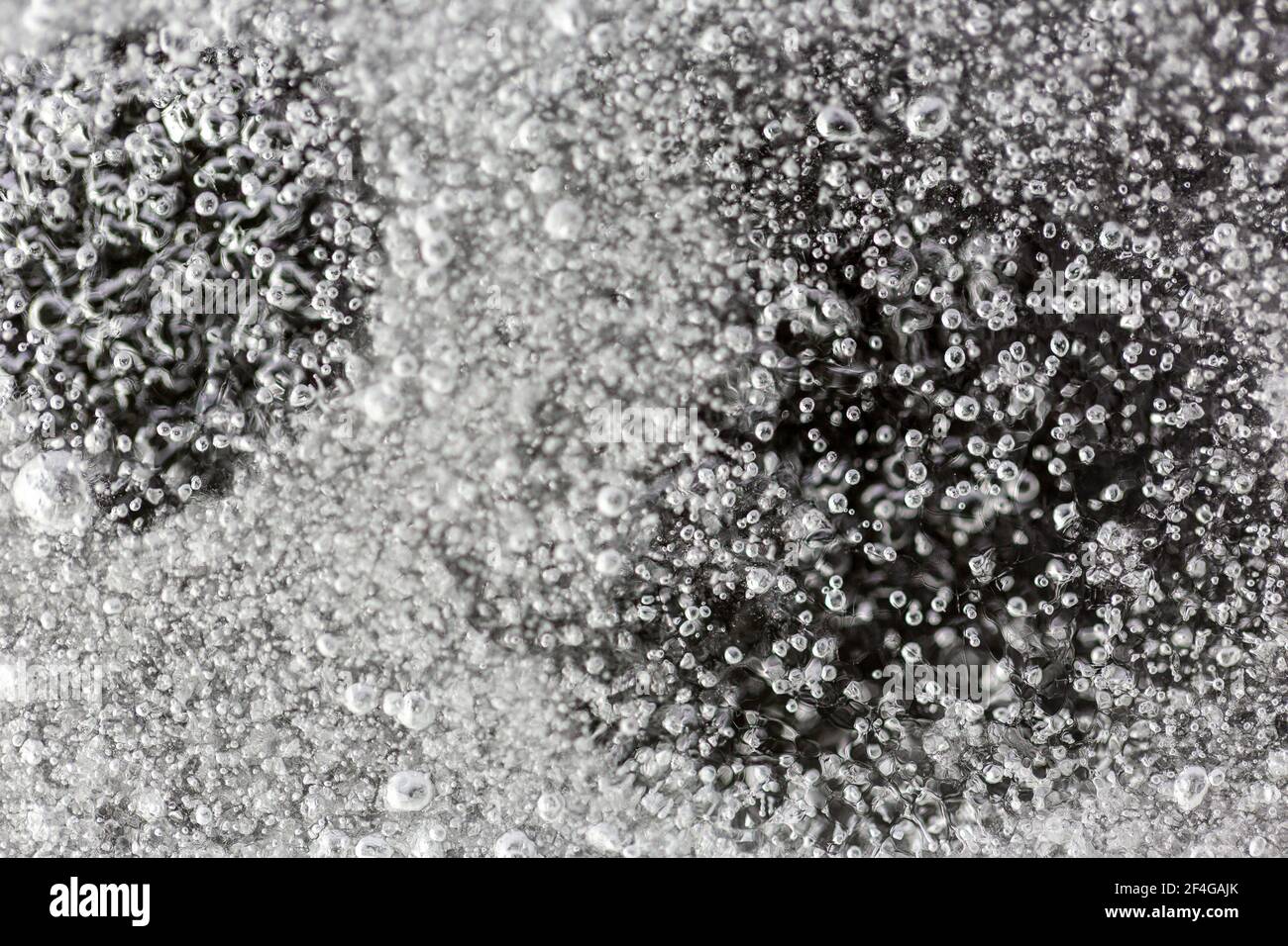 Makro-Aufnahme von winzigen Luftblasen in einem Blatt Eis im Garten gefangen, mit einem Blitz Strobe Licht aufgenommen, um das Eis zu beleuchten Stockfoto