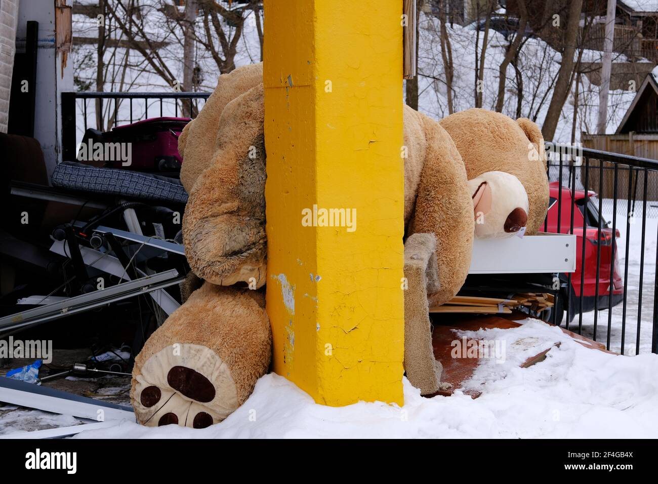 Bizarrer riesiger Teddybär, der auf den Müllbereich unseres Apartmentgebäudes geworfen wurde. Auf zum Teddybären-Hof. Stockfoto