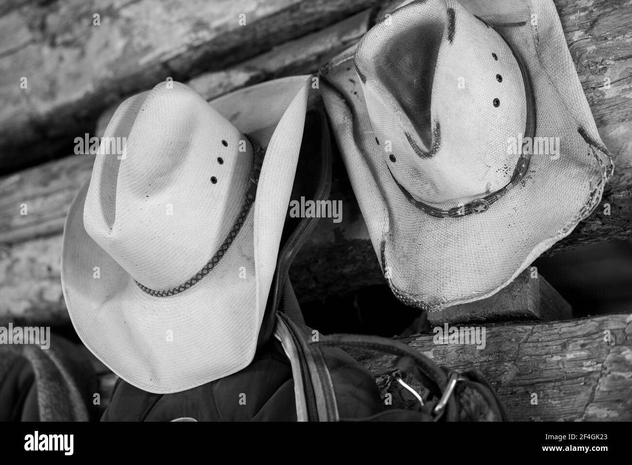 USA, Colorado, Westcliffe, Music Meadows Ranch. Tack Room, Cowboy Hut Detail. Eigenschaft freigegeben. Stockfoto