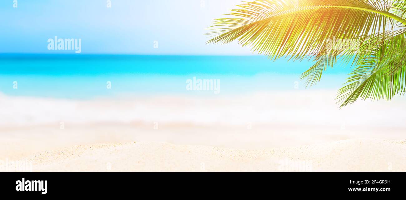 Panorama von verschwommenem blauen Himmel und Blätter von Kokospalme. Landschaft des tropischen Sommers. Sommer Strandurlaub Konzept. Stockfoto