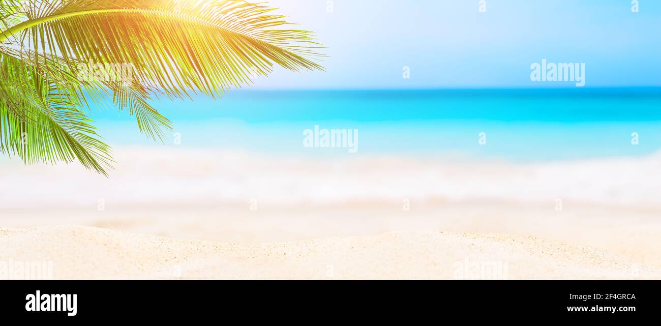 Panorama von verschwommenem blauen Himmel und Blätter von Kokospalme. Landschaft des tropischen Sommers. Sommer Strandurlaub Konzept. Stockfoto