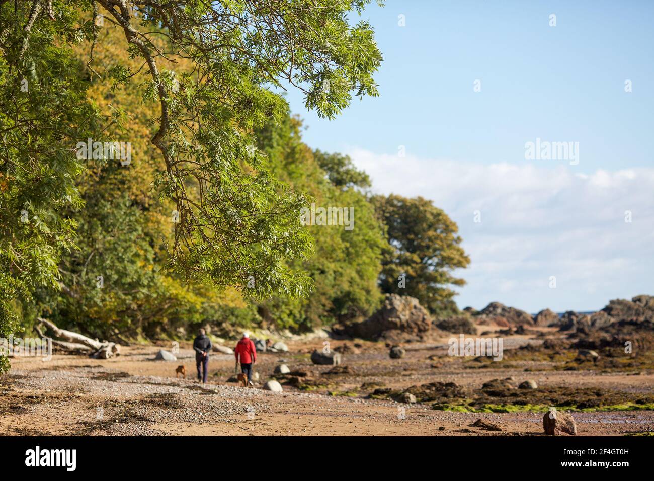 Zwei Männer und ein ungarischer visueller Spaziergang am Rosemarkie Beach, Fortress, Schottland Stockfoto